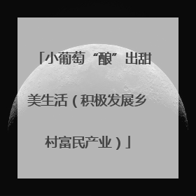 小葡萄“酿”出甜美生活（积极发展乡村富民产业）