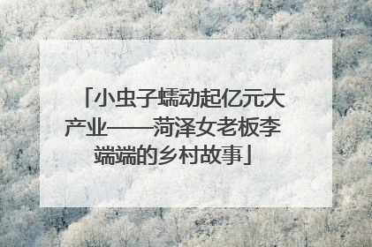 小虫子蠕动起亿元大产业——菏泽女老板李端端的乡村故事