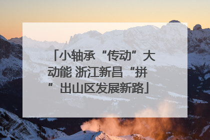 小轴承“传动”大动能 浙江新昌“拼”出山区发展新路
