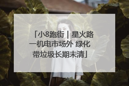 小8跑街｜星火路一机电市场外 绿化带垃圾长期未清