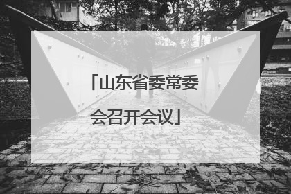 山东省委常委会召开会议
