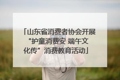 山东省消费者协会开展 “护童消费安 端午文化传”消费教育活动