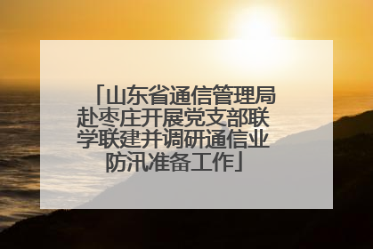 山东省通信管理局赴枣庄开展党支部联学联建并调研通信业防汛准备工作