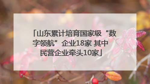 山东累计培育国家级“数字领航”企业18家 其中民营企业牵头10家