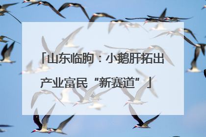山东临朐：小鹅肝拓出产业富民“新赛道”