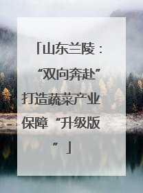 山东兰陵：“双向奔赴”打造蔬菜产业保障“升级版”
