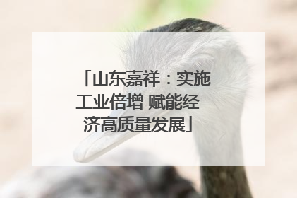 山东嘉祥：实施工业倍增 赋能经济高质量发展