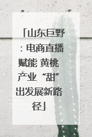 山东巨野：电商直播赋能 黄桃产业“甜”出发展新路径
