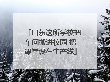 山东这所学校把车间搬进校园 把课堂设在生产线