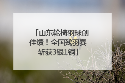 山东轮椅羽球创佳绩！全国残羽赛斩获3银1铜