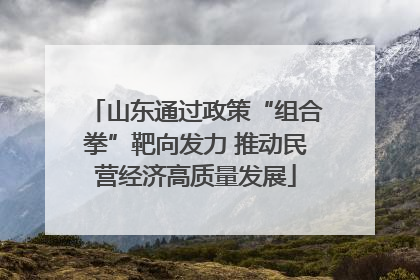 山东通过政策“组合拳”靶向发力 推动民营经济高质量发展