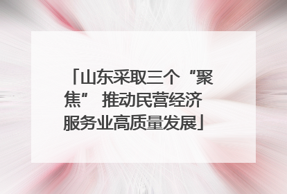 山东采取三个“聚焦” 推动民营经济服务业高质量发展