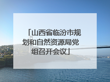 山西省临汾市规划和自然资源局党组召开会议