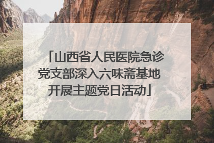 山西省人民医院急诊党支部深入六味斋基地开展主题党日活动