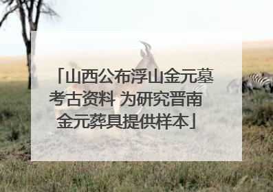 山西公布浮山金元墓考古资料 为研究晋南金元葬具提供样本