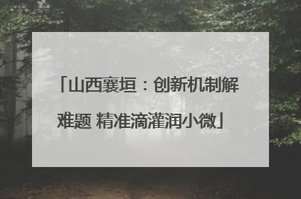山西襄垣：创新机制解难题 精准滴灌润小微