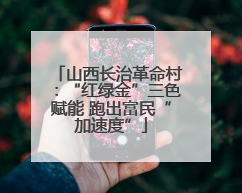 山西长治革命村：“红绿金”三色赋能 跑出富民“加速度”
