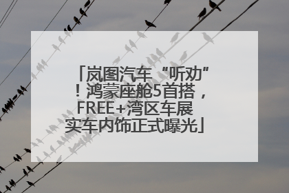 岚图汽车“听劝”！鸿蒙座舱5首搭，FREE+湾区车展实车内饰正式曝光