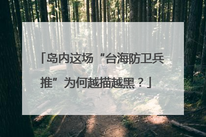 岛内这场“台海防卫兵推”为何越描越黑？