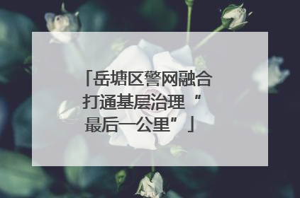 岳塘区警网融合 打通基层治理“最后一公里”