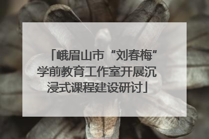 峨眉山市“刘春梅”学前教育工作室开展沉浸式课程建设研讨