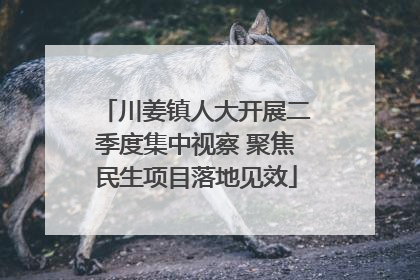 川姜镇人大开展二季度集中视察 聚焦民生项目落地见效