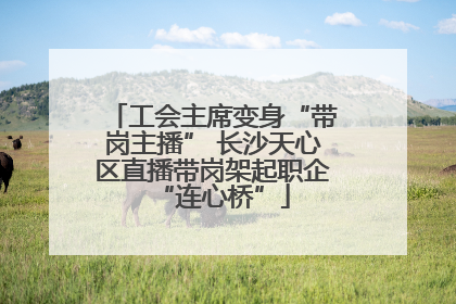 工会主席变身“带岗主播” 长沙天心区直播带岗架起职企“连心桥”
