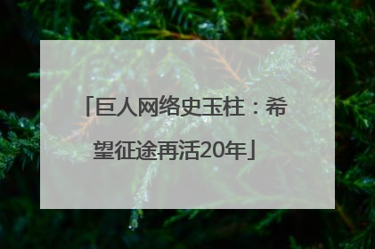 巨人网络史玉柱：希望征途再活20年