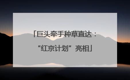 巨头牵手种草直达：“红京计划”亮相