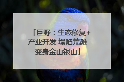 巨野：生态修复+产业开发 塌陷荒滩变身金山银山