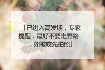 已进入高发期，专家提醒：最好不要走野路，如被咬先拍照