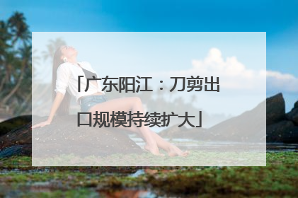 广东阳江：刀剪出口规模持续扩大