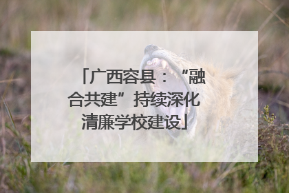 广西容县：“融合共建”持续深化清廉学校建设