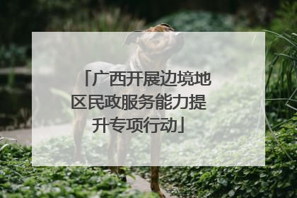 广西开展边境地区民政服务能力提升专项行动