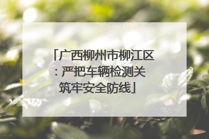 广西柳州市柳江区：严把车辆检测关 筑牢安全防线