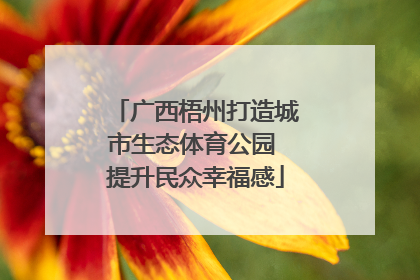 广西梧州打造城市生态体育公园 提升民众幸福感