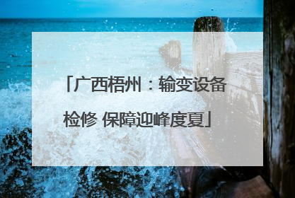 广西梧州：输变设备检修 保障迎峰度夏