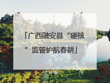 广西融安县“硬核”监管护航春耕