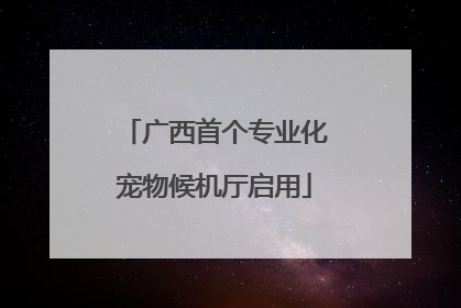 广西首个专业化宠物候机厅启用