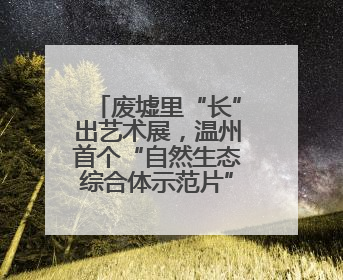 废墟里“长”出艺术展，温州首个“自然生态综合体示范片”启幕