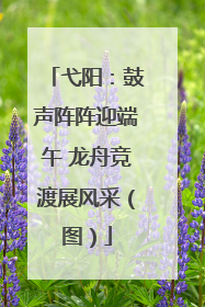 弋阳：鼓声阵阵迎端午 龙舟竞渡展风采（图）