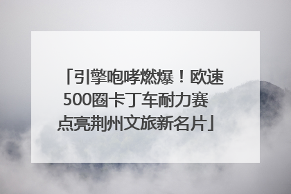 引擎咆哮燃爆！欧速500圈卡丁车耐力赛点亮荆州文旅新名片