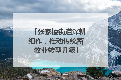 张家楼街道深耕细作，推动传统畜牧业转型升级