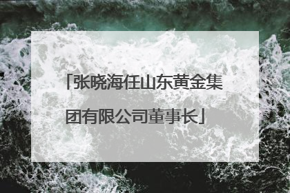 张晓海任山东黄金集团有限公司董事长
