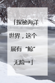 探秘海洋世界，这个展有“鲸”无险→