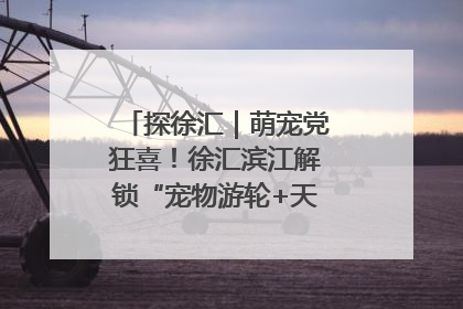 探徐汇｜萌宠党狂喜！徐汇滨江解锁“宠物游轮+天台乐园”双玩法