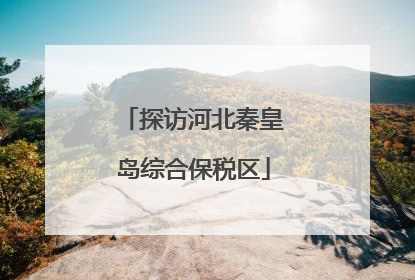 探访河北秦皇岛综合保税区