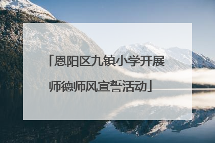 恩阳区九镇小学开展师德师风宣誓活动
