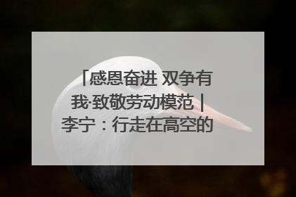 感恩奋进 双争有我·致敬劳动模范｜李宁：行走在高空的“电网卫士”