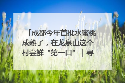 成都今年首批水蜜桃成熟了，在龙泉山这个村尝鲜“第一口”｜寻找和美乡村推荐官